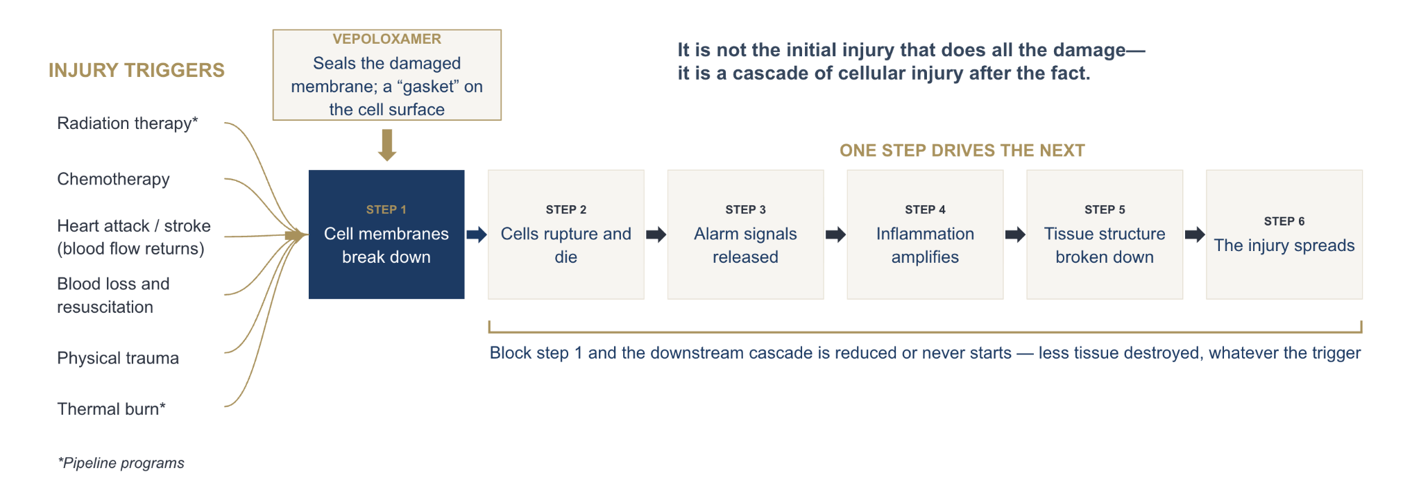 Cascade of cellular injury showing how Vepoloxamer seals damaged cell membranes and reduces downstream injury across multiple triggers
